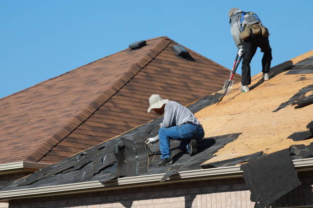Best Asphalt Shingles Roofing  in Wilmington, OH