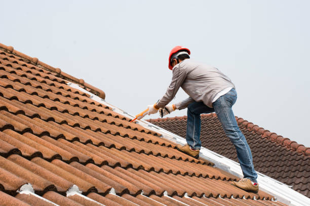 Best Sheet Metal Roofing  in Wilmington, OH
