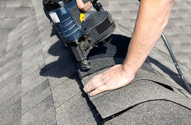 Best Roof Moss and Algae Removal  in Wilmington, OH